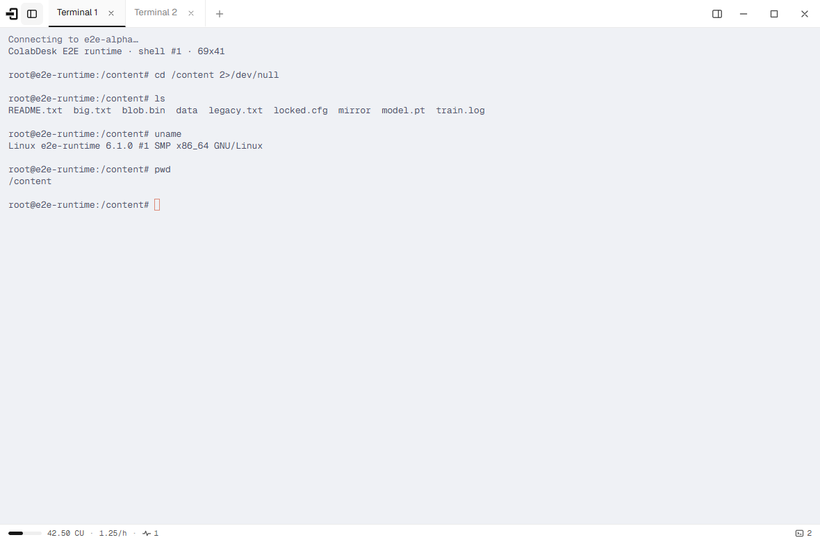 ColabDesk in focus mode: a full-window terminal on one runtime
